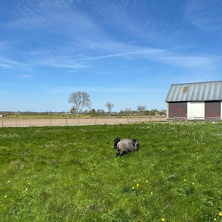 Oesterlen Oasis Spjutstorp Exterior foto