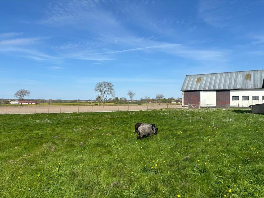Oesterlen Oasis Spjutstorp Exterior foto